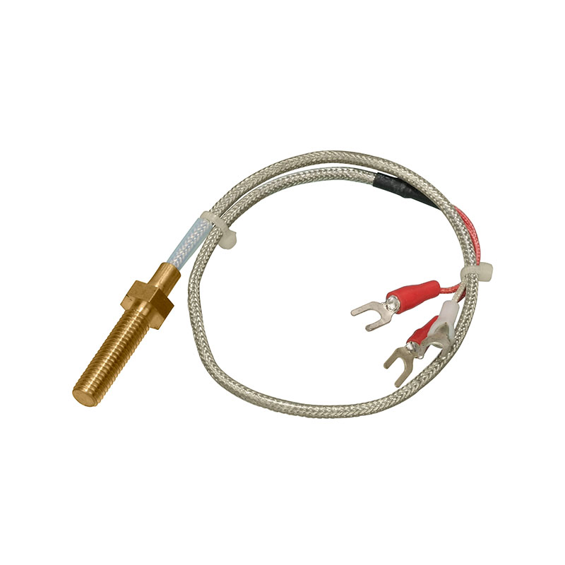 RTD de platino especializado (0–300°C)